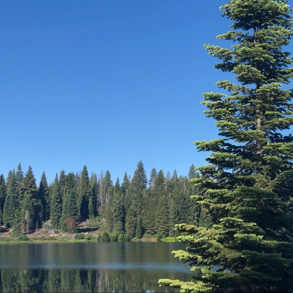 Meet your Posher, artlived - Picture 2 of 13